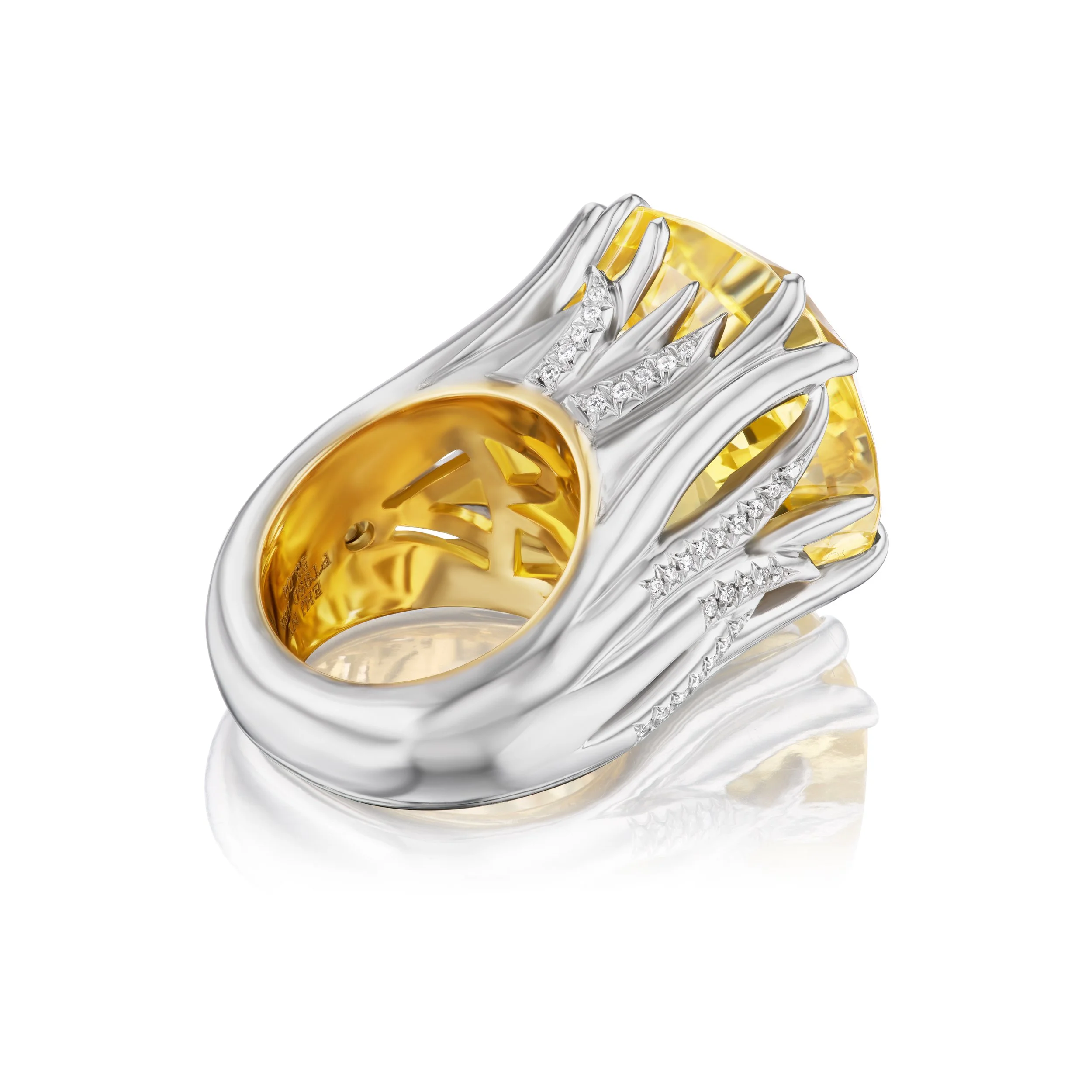 enhoerning_sapp_ring2_back_3_4 SMALL.jpg