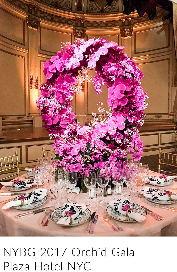 6-Orchid-Gala-PlazaHotel.jpg