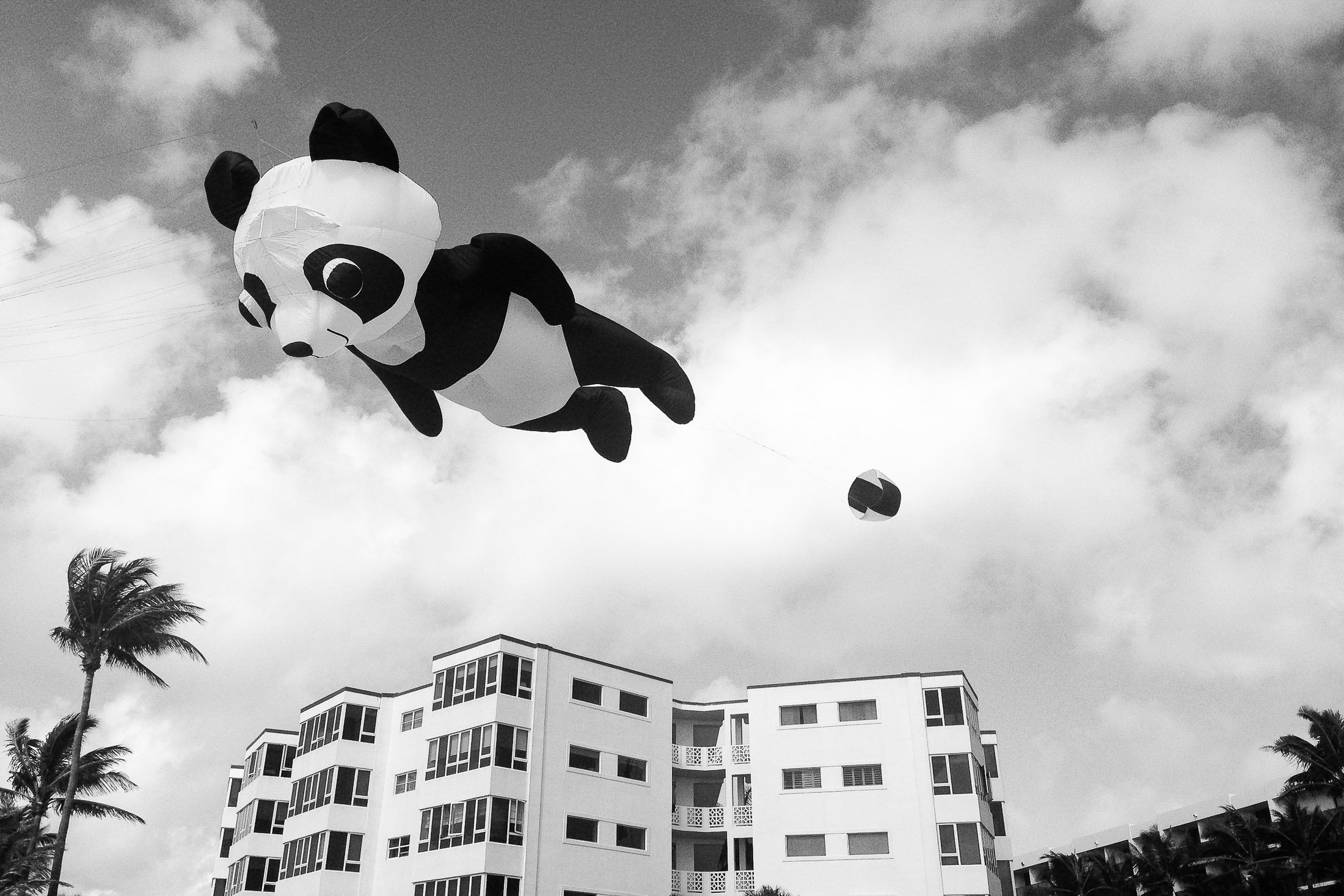 Play_Panda Flying Palam Beach-6848.jpg