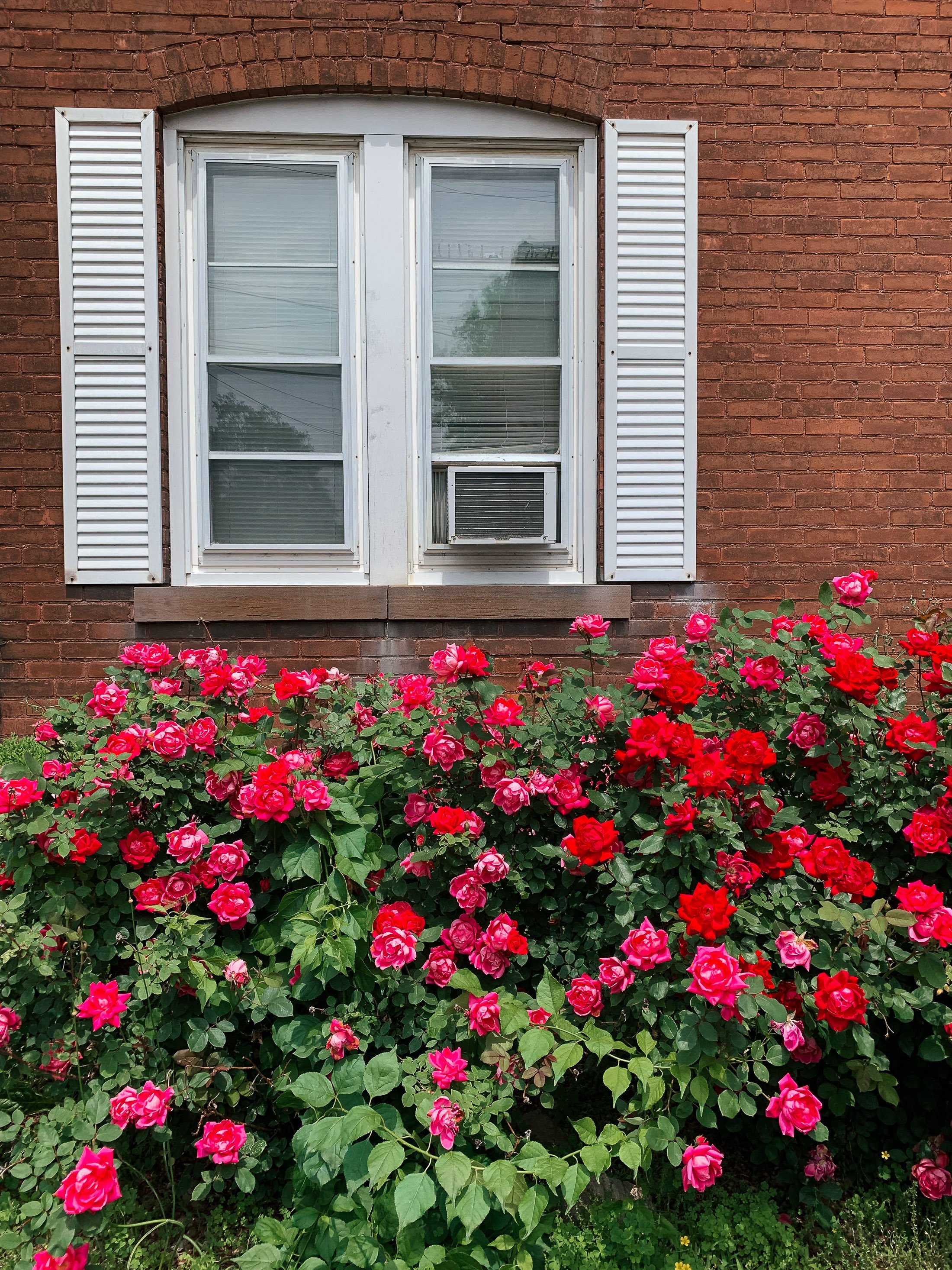 Structure_North End Middletown Flowers-1323.jpg