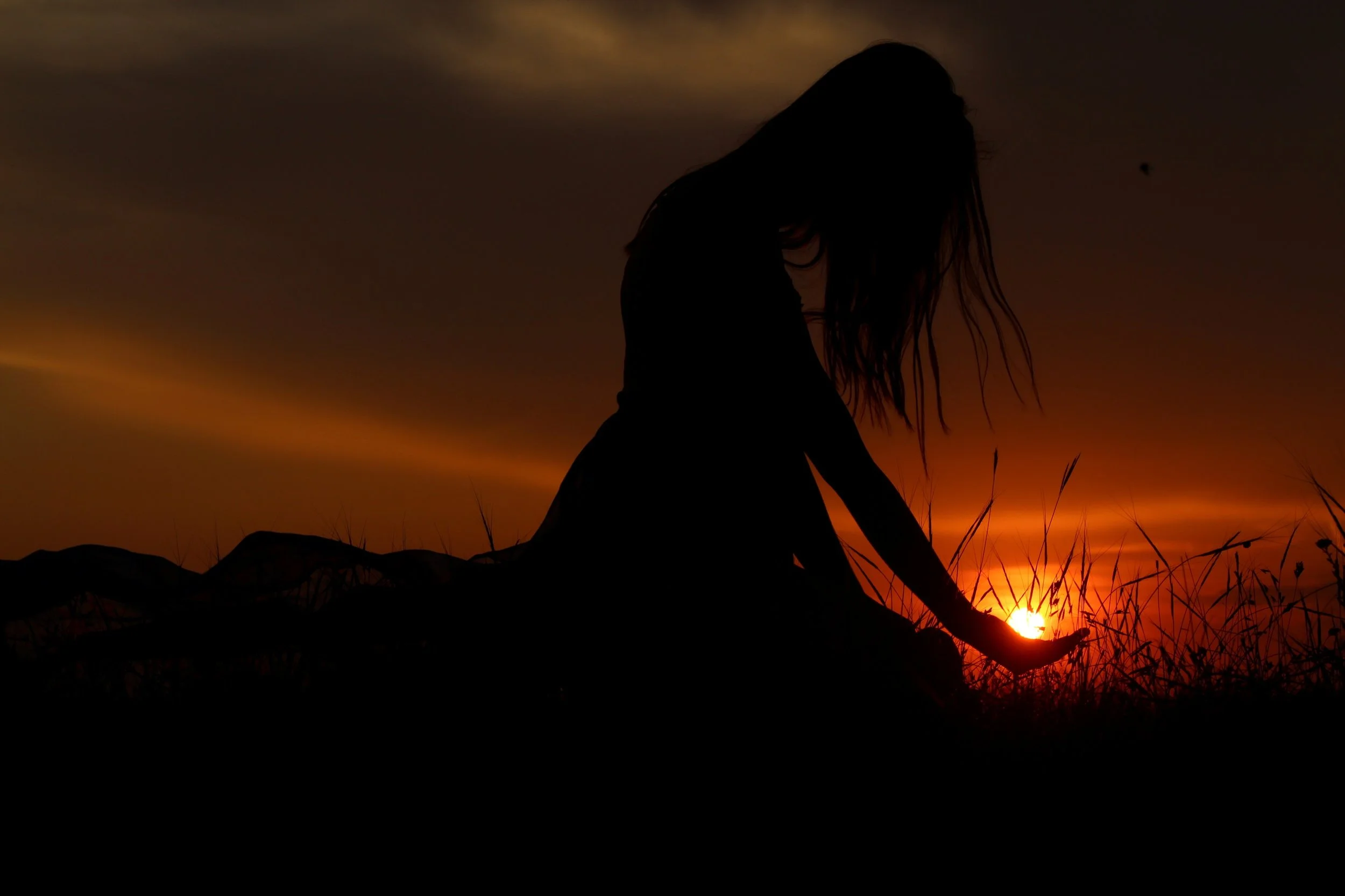 backlit-dark-dawn-532303.jpg