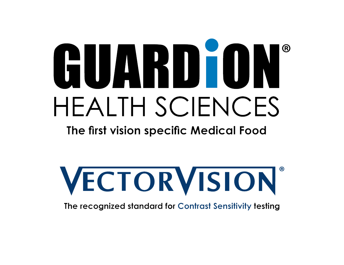 GUARDiON-and-VectorVision-logo.png