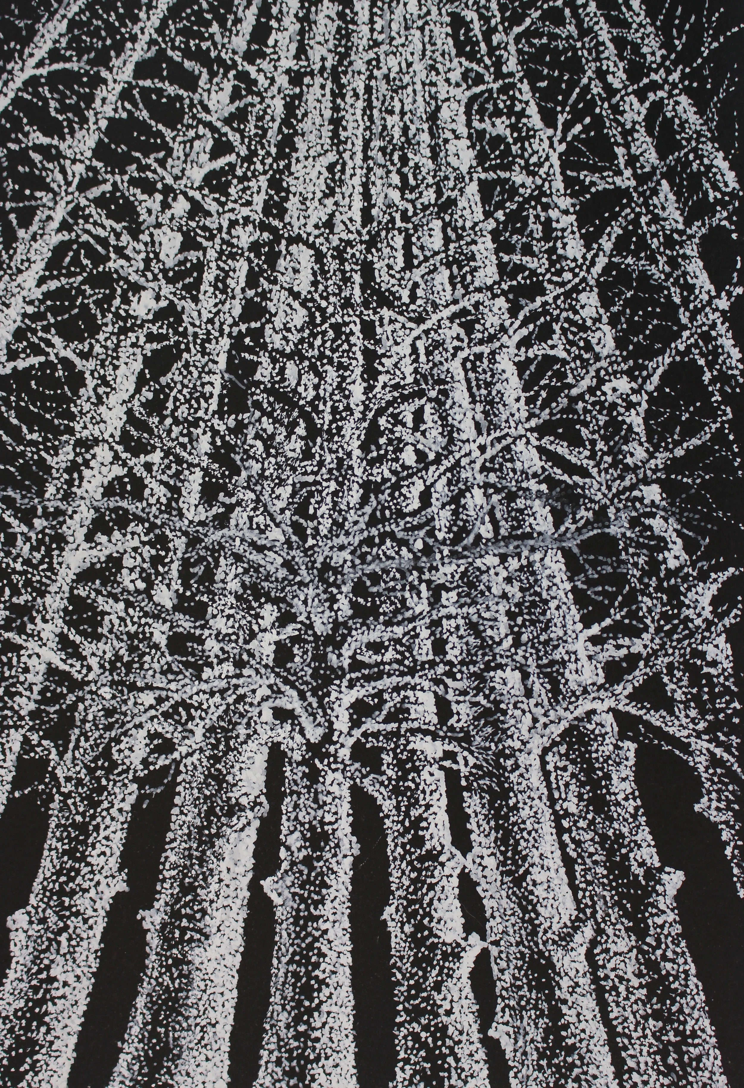 "Looking Up In A Winter Forest"