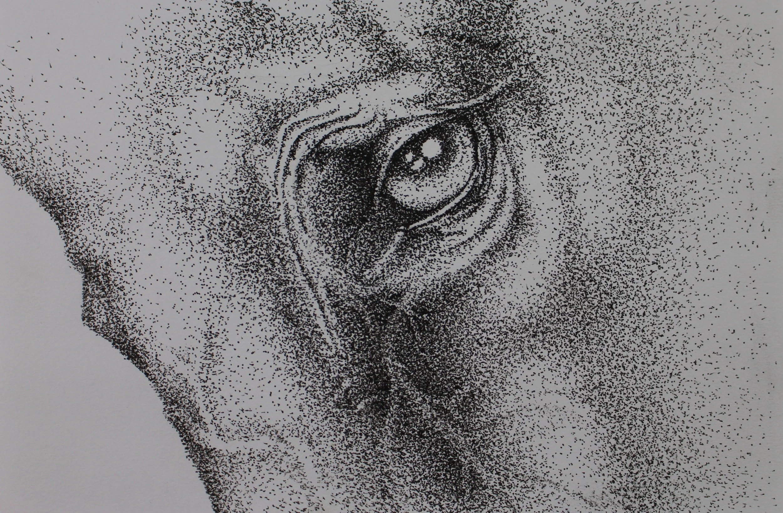 "Compassion" - 8" x 5.5" stippled ink on paper.