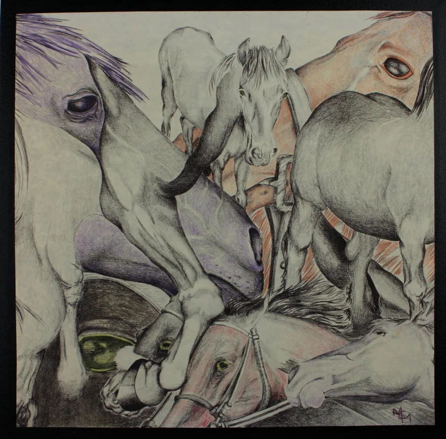 "Horse Collage" Hand Colored Giclee Mounted on Canvas