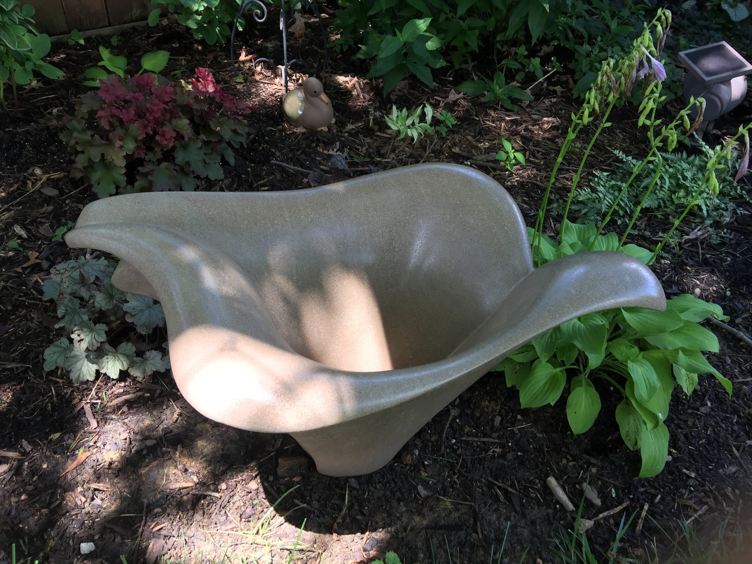 "Peace Lilly"