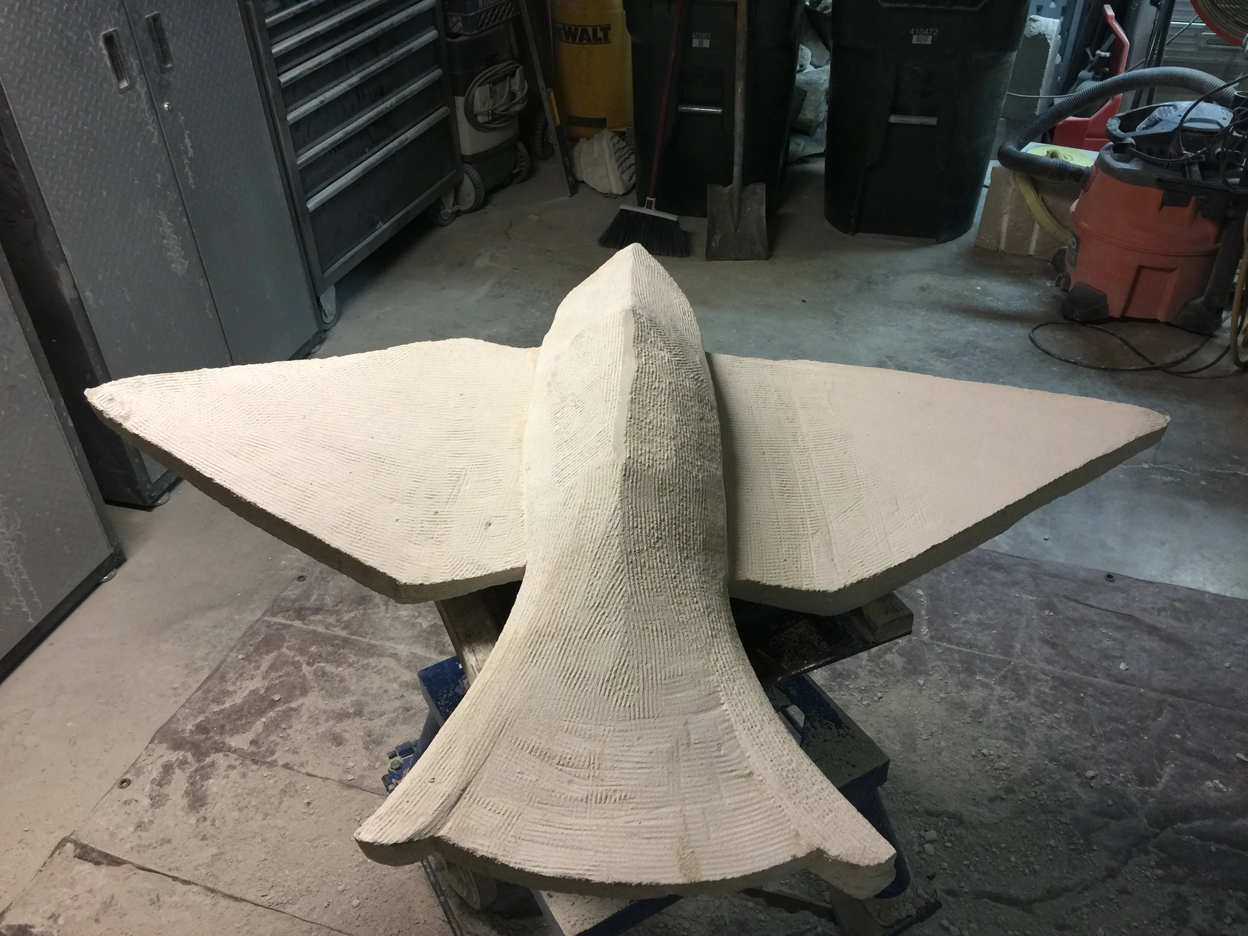 The largest of the "Cir Liberum" birds (upside down). The wing span is o little over 4 feet.
