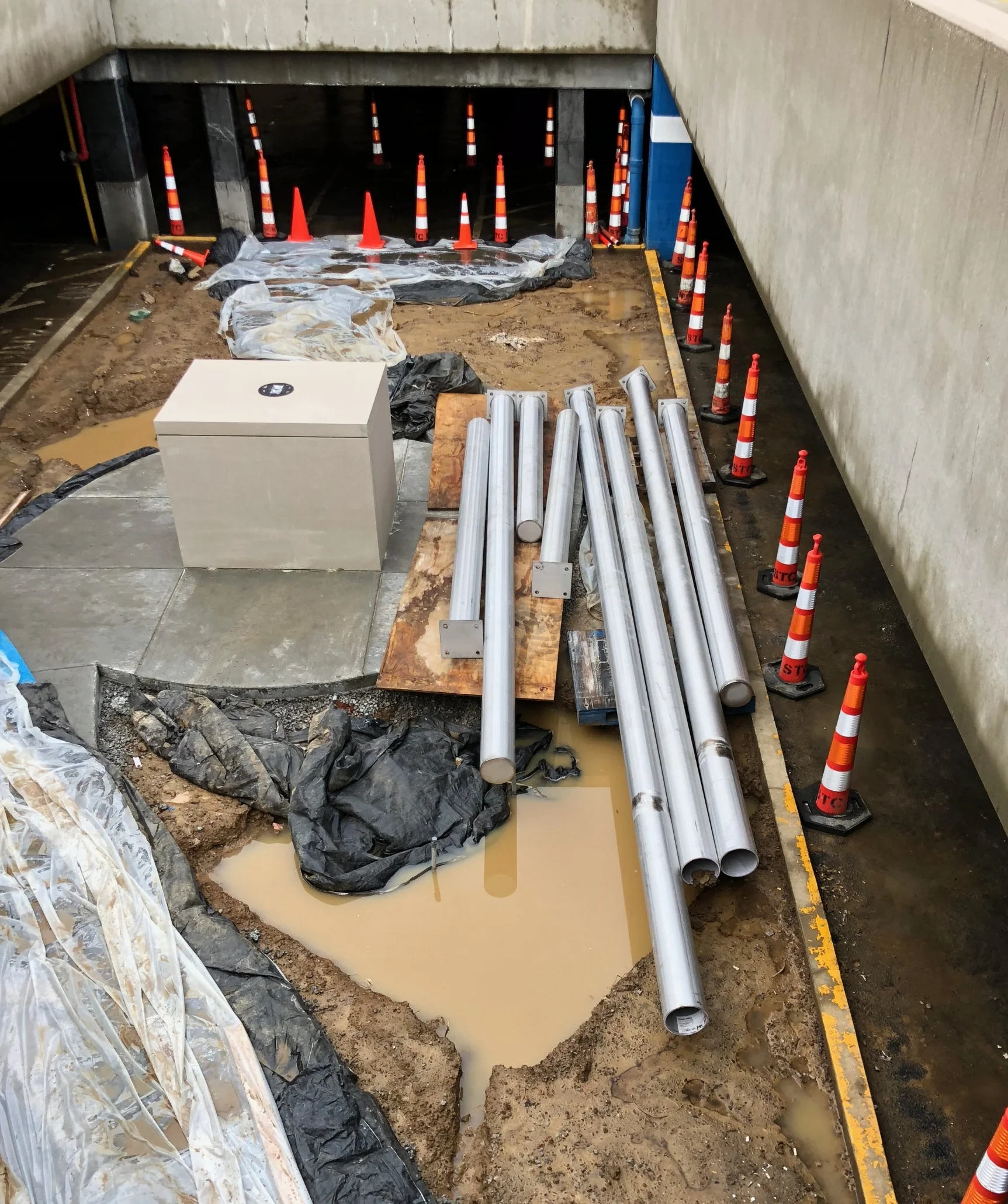Stainless poles (trees) are in place