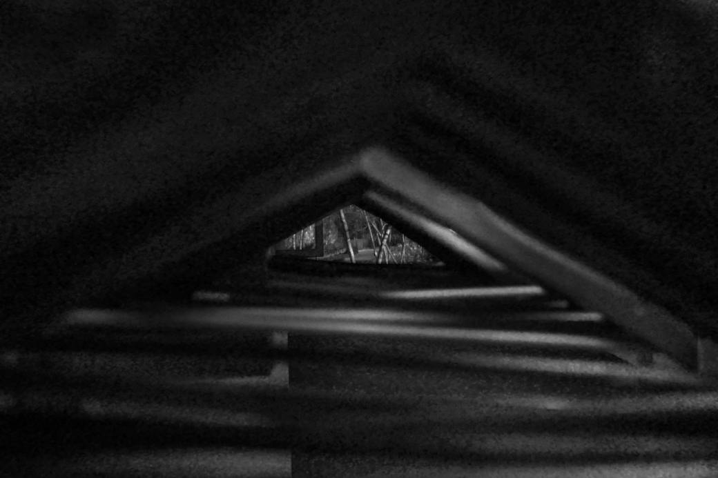 L1020140bw2.jpg