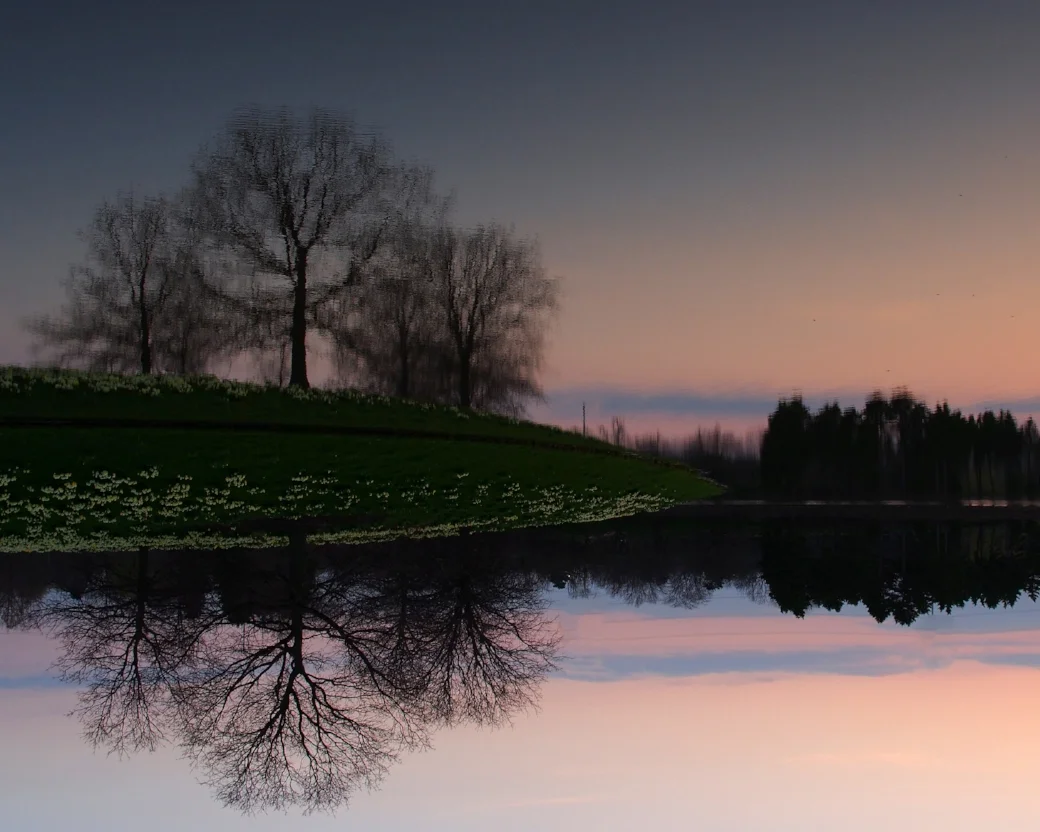 Sills_Symmetry.jpg