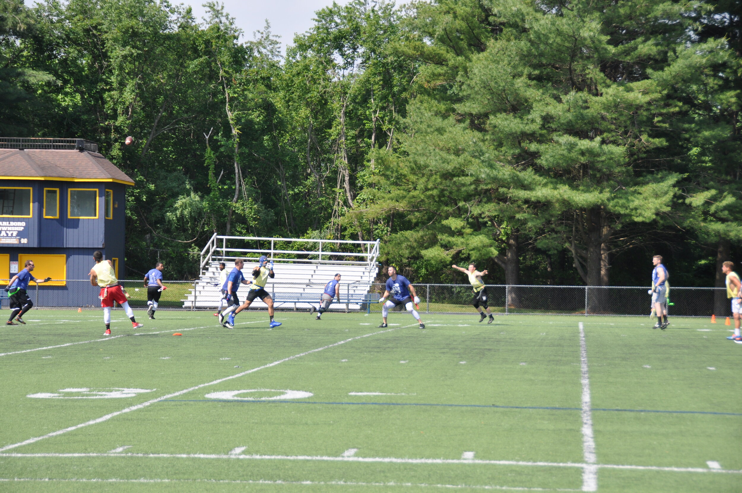 DSC_0101.JPG