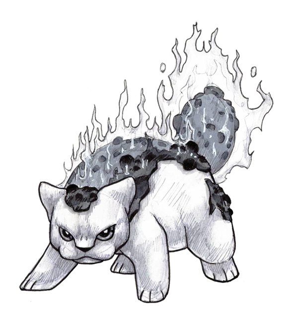DAY 5_small.png