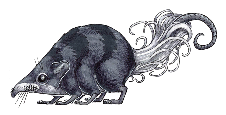 DAY 13_small.png