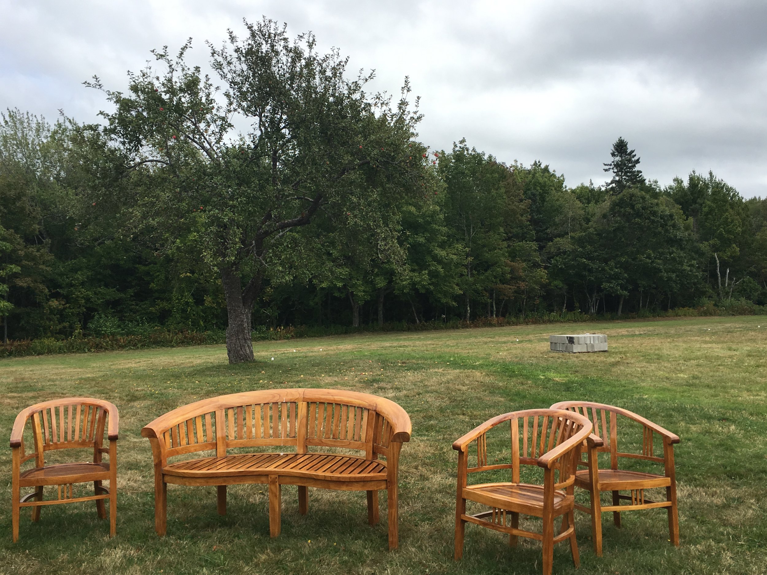 benches and apple trees