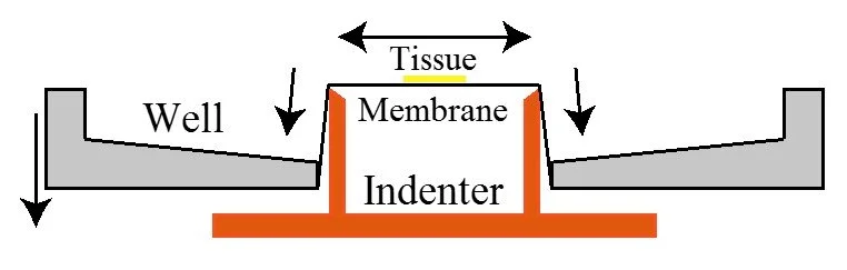 Morrison et al., Journal of Neuroscience Methods, 150:192, 2006.