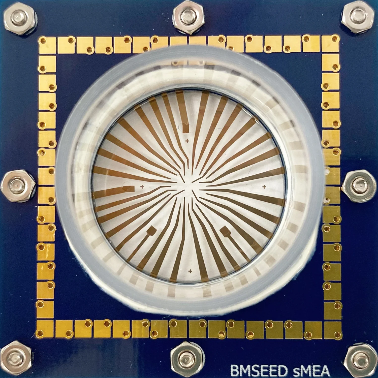 Flexible & Stretchable Multielectrode Arrays (sMEAs) | BMSEED