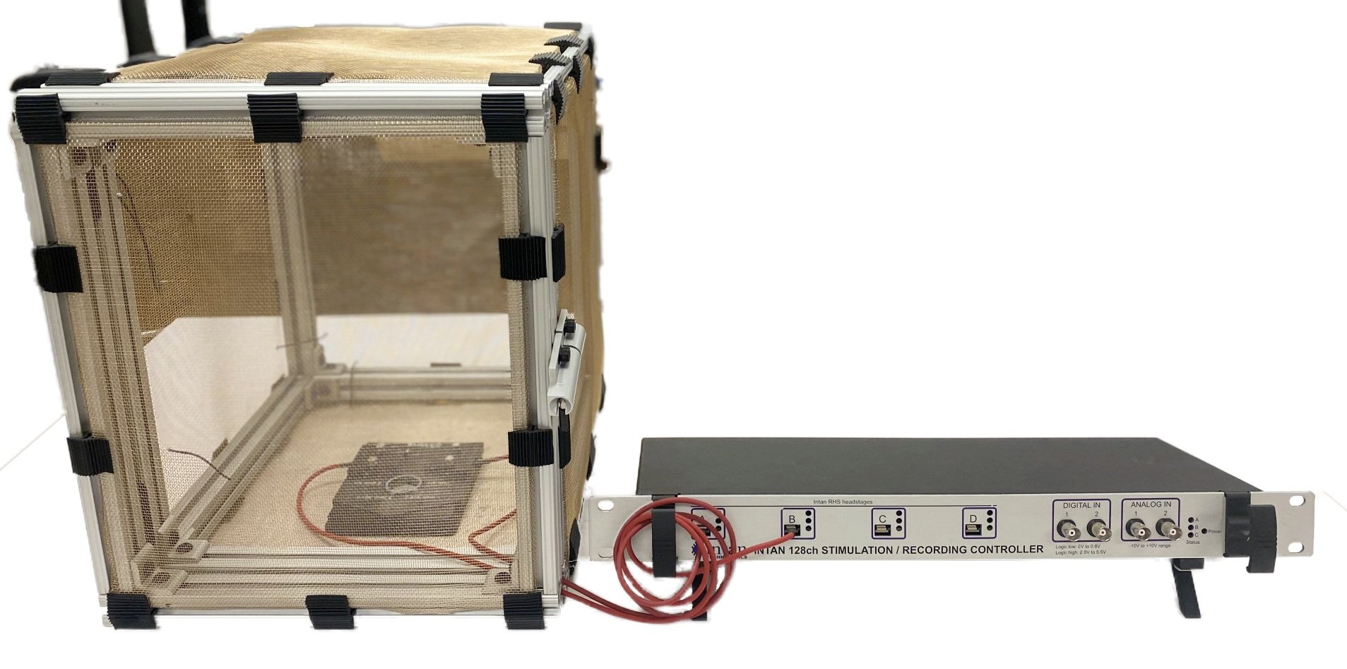 Ephys+%2B+Faraday+cage.jpg