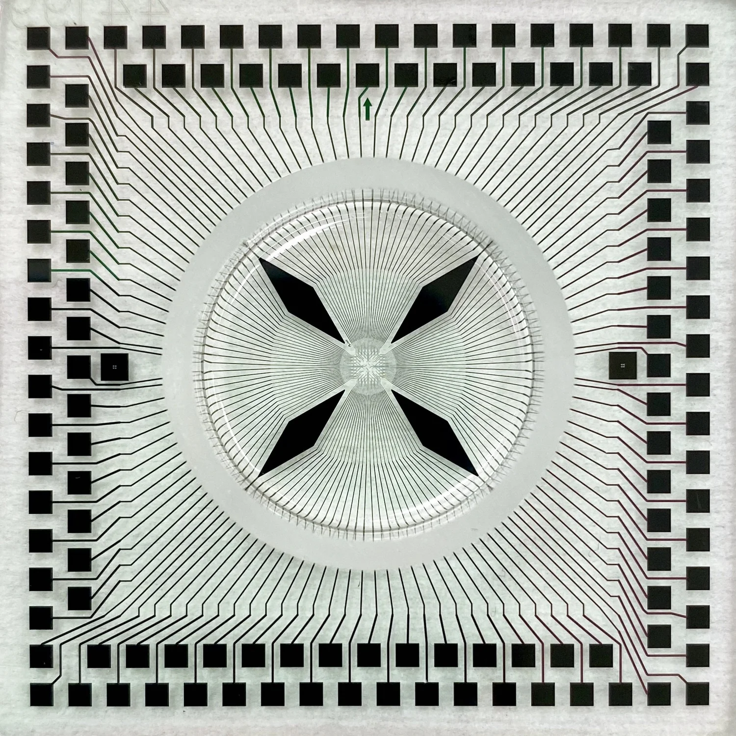 Glass Multielectrode Arrays (gMEAs) | BMSEED