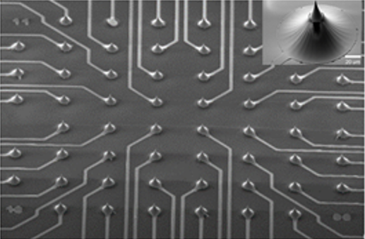 Glass Multielectrode Arrays (gMEAs) | BMSEED