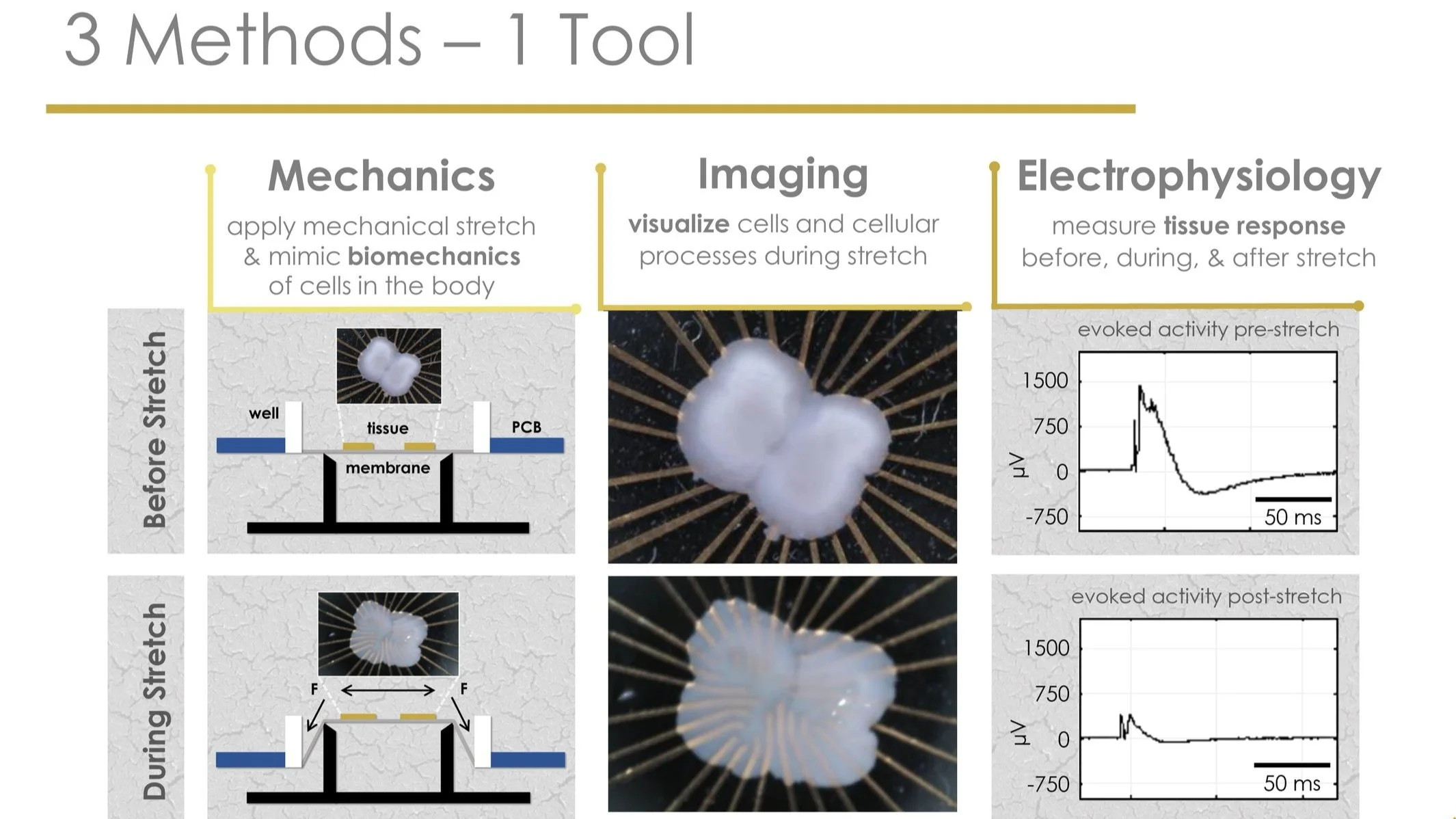 ������ѧ������͵�����ѧ����һ�����о�����