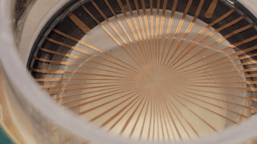 Multielectrode Array for In Vitro Research | BMSEED
