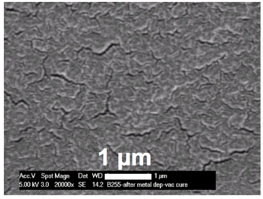 What is a Multielectrode Array (MEA)? | BMSEED