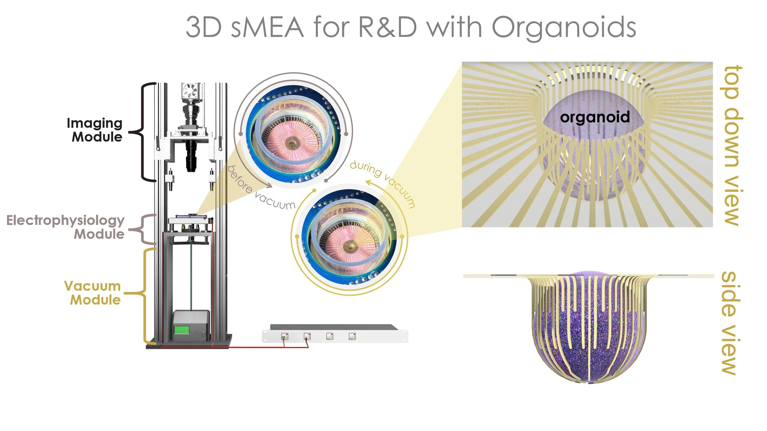 BMSEED's non-provisional patent application for 3D microelectrode array ...