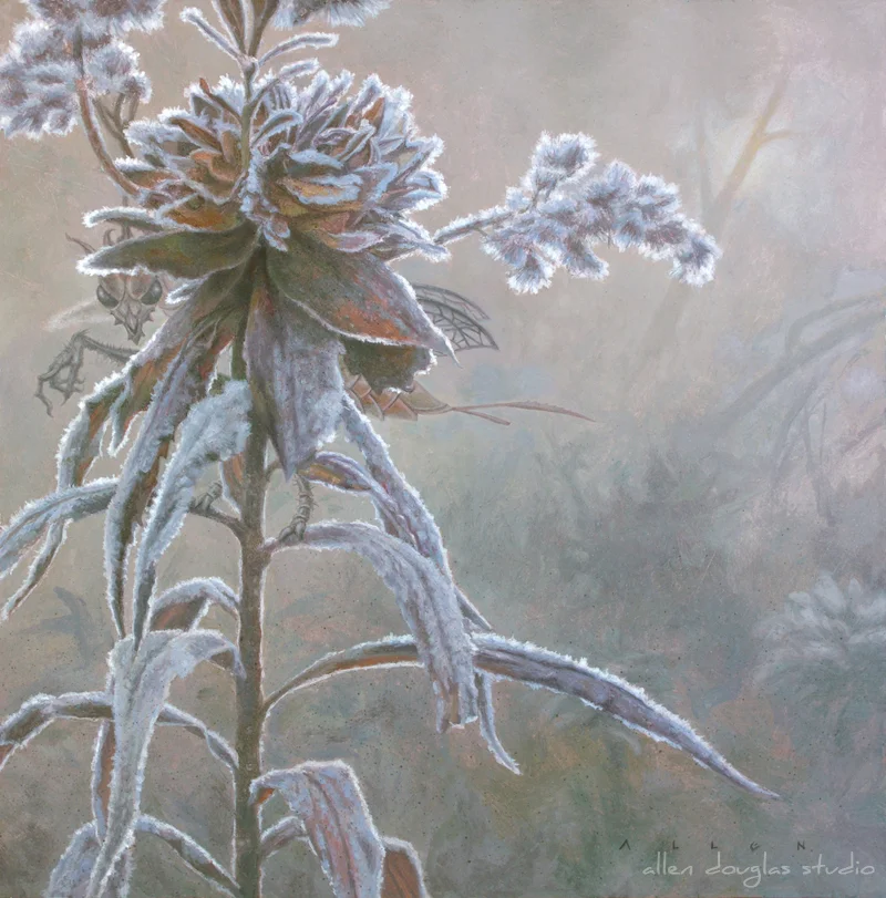 Unseelie in the Shire.jpg