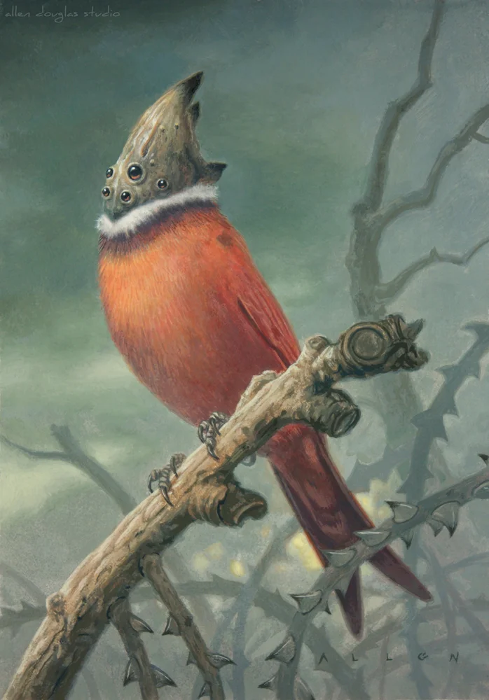 Fork-tailed Hornhead.jpg