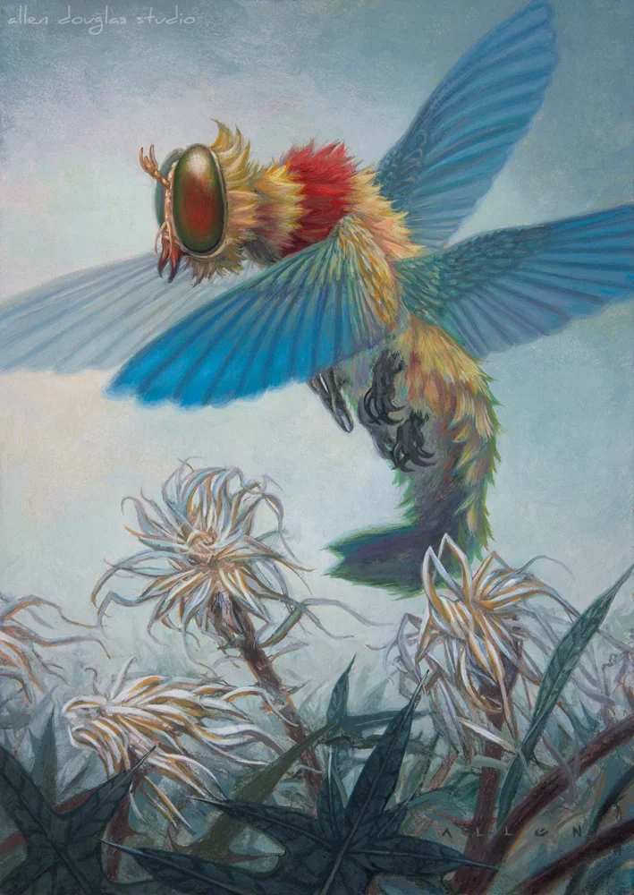 Red-ringed Lucifer Buzzer.jpg