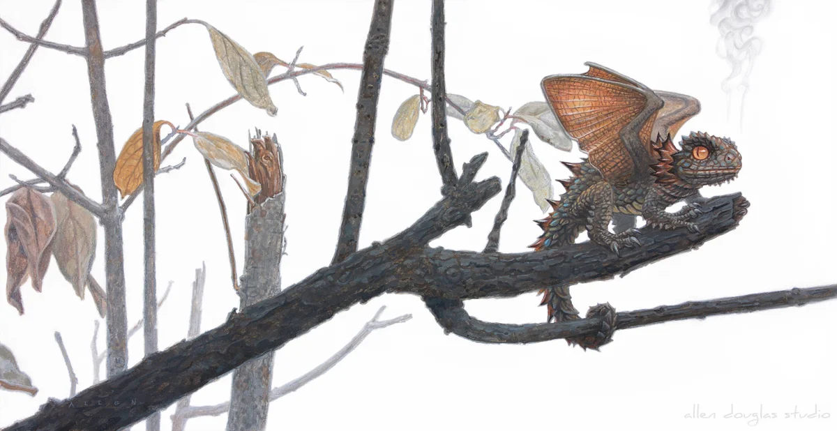 Collared Thornback.jpg