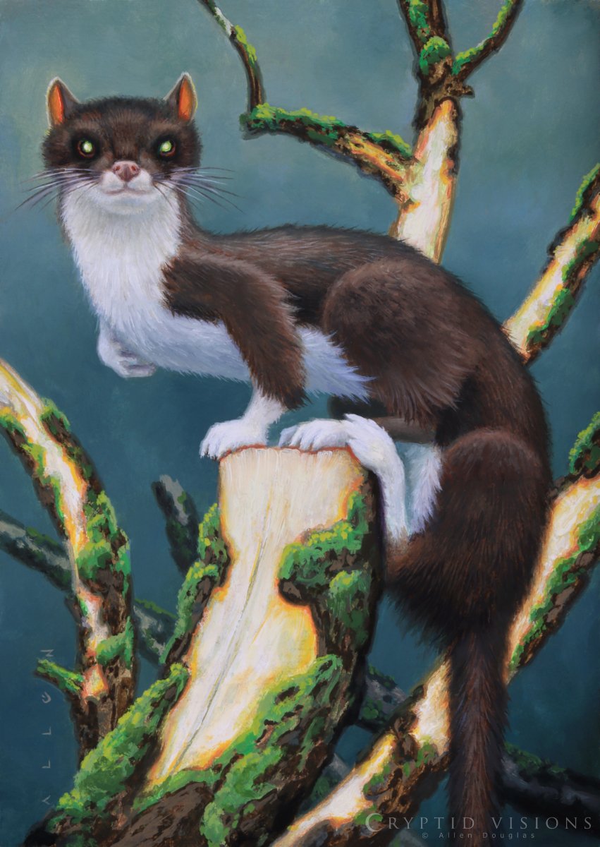 Grizzled Tree Weasel — CRYPTID VISIONS