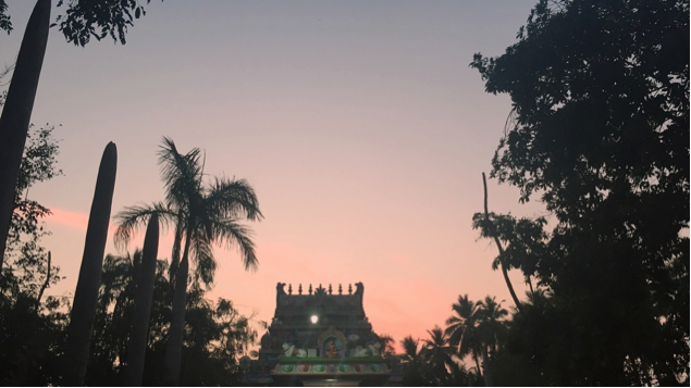 Sri Rangam at Sunset