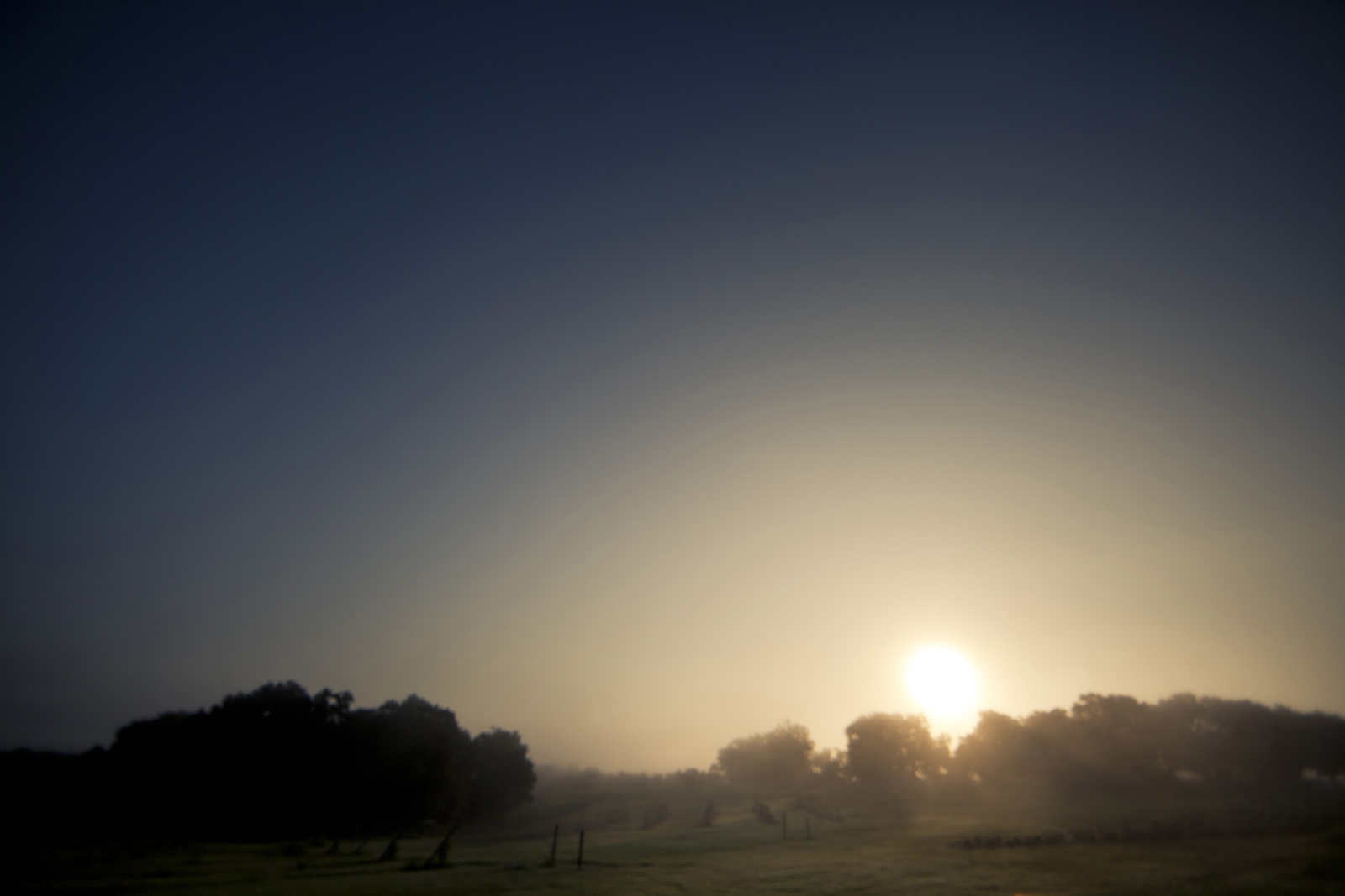 Starhillfarms_159.jpg