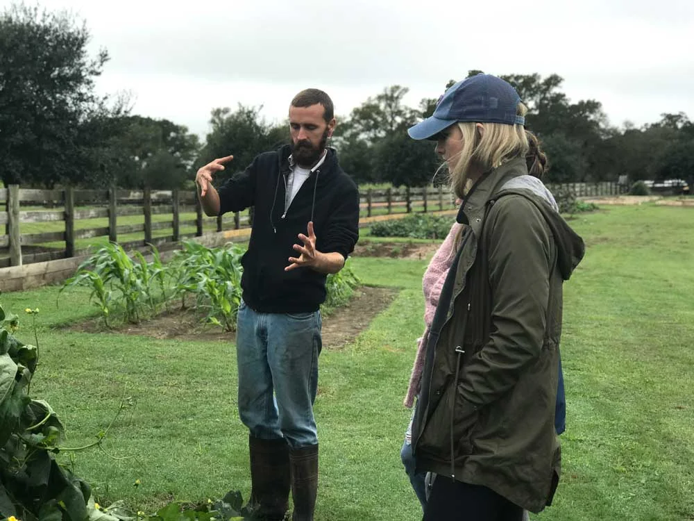 Loofah Love Growing Loofahs in the Garden — StarHill Farms