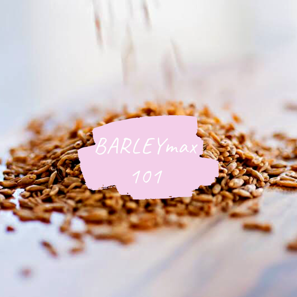 BARLEYmax 101 Super grain, Super health benefits — True Form Therapies