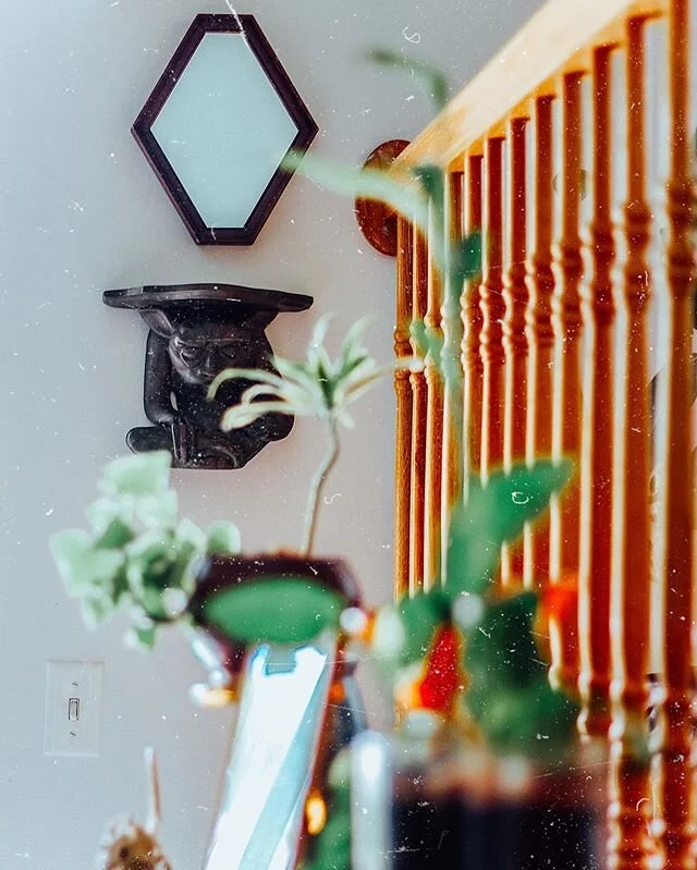 Little creatures all over our home!
🥰🌱✨