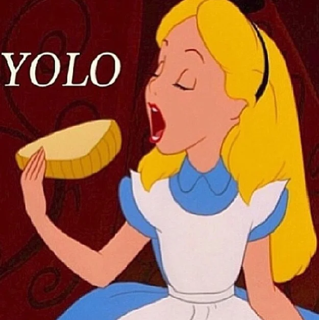 yolo.jpg