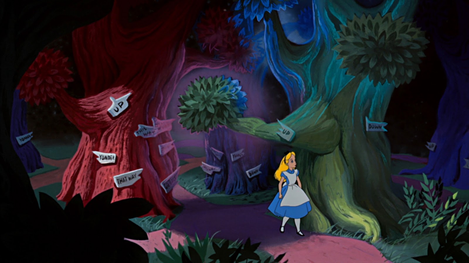 forest .jpg