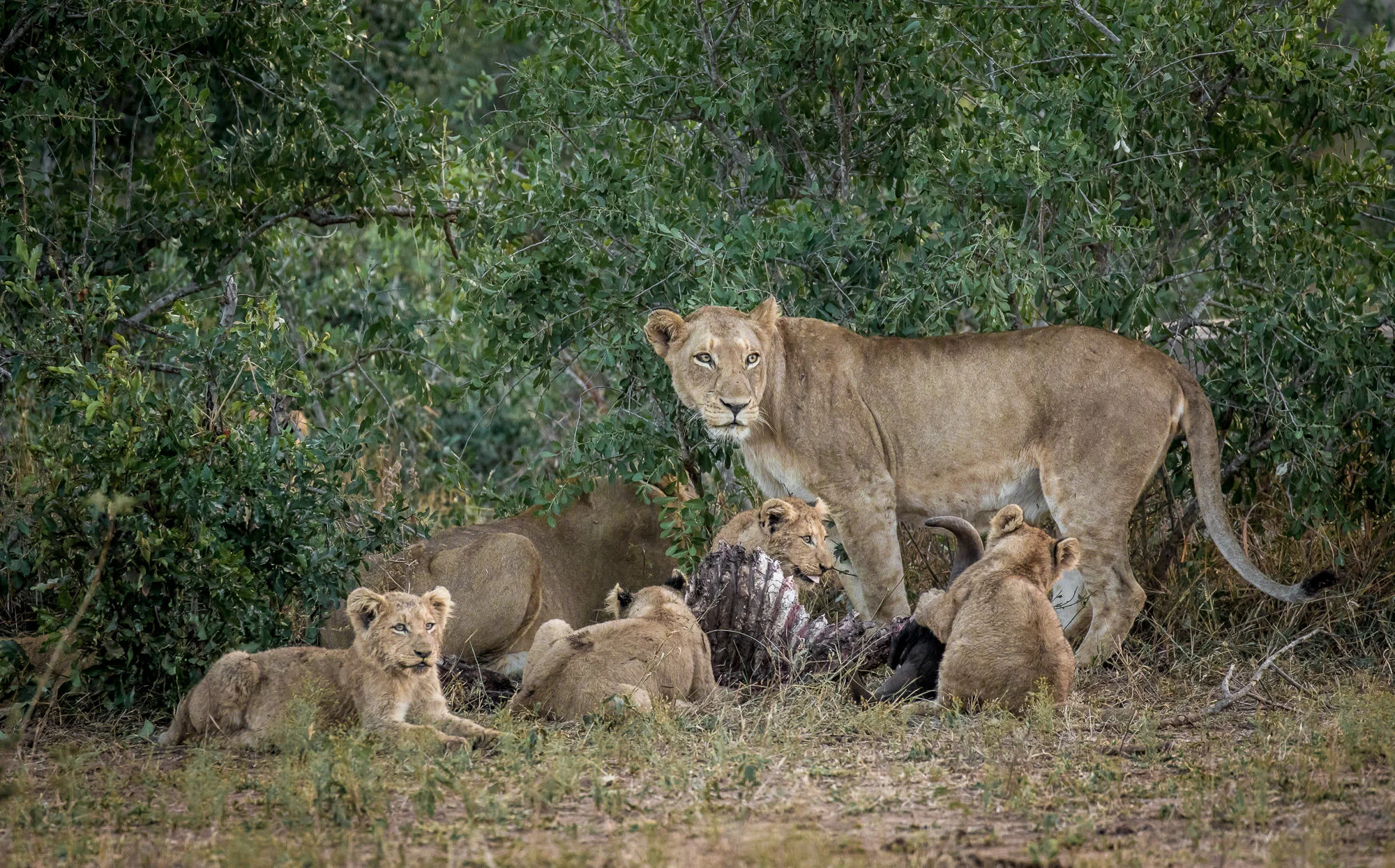 www. photoorganic.com.au29.jpg
