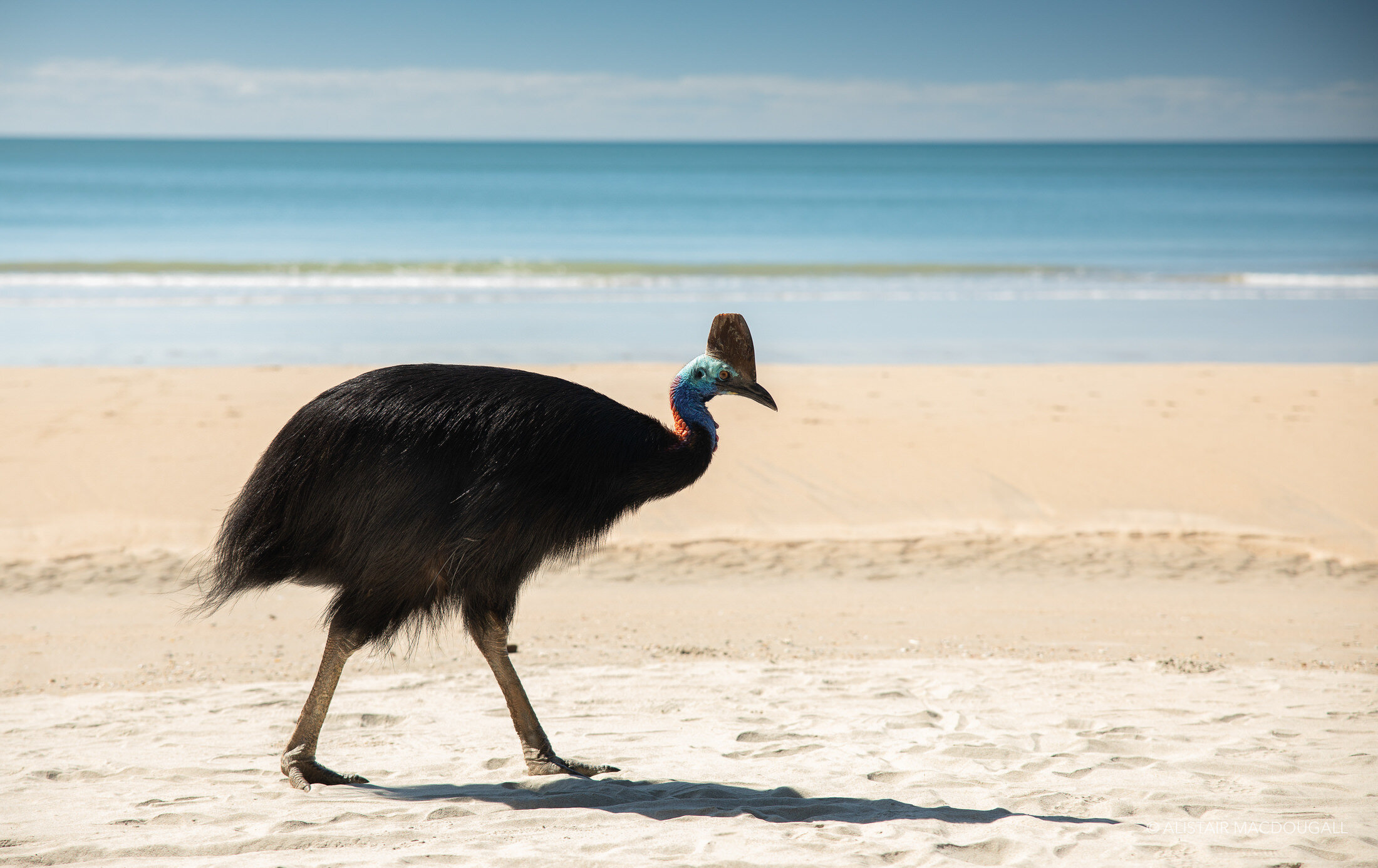 Daintree_LR-187.jpg