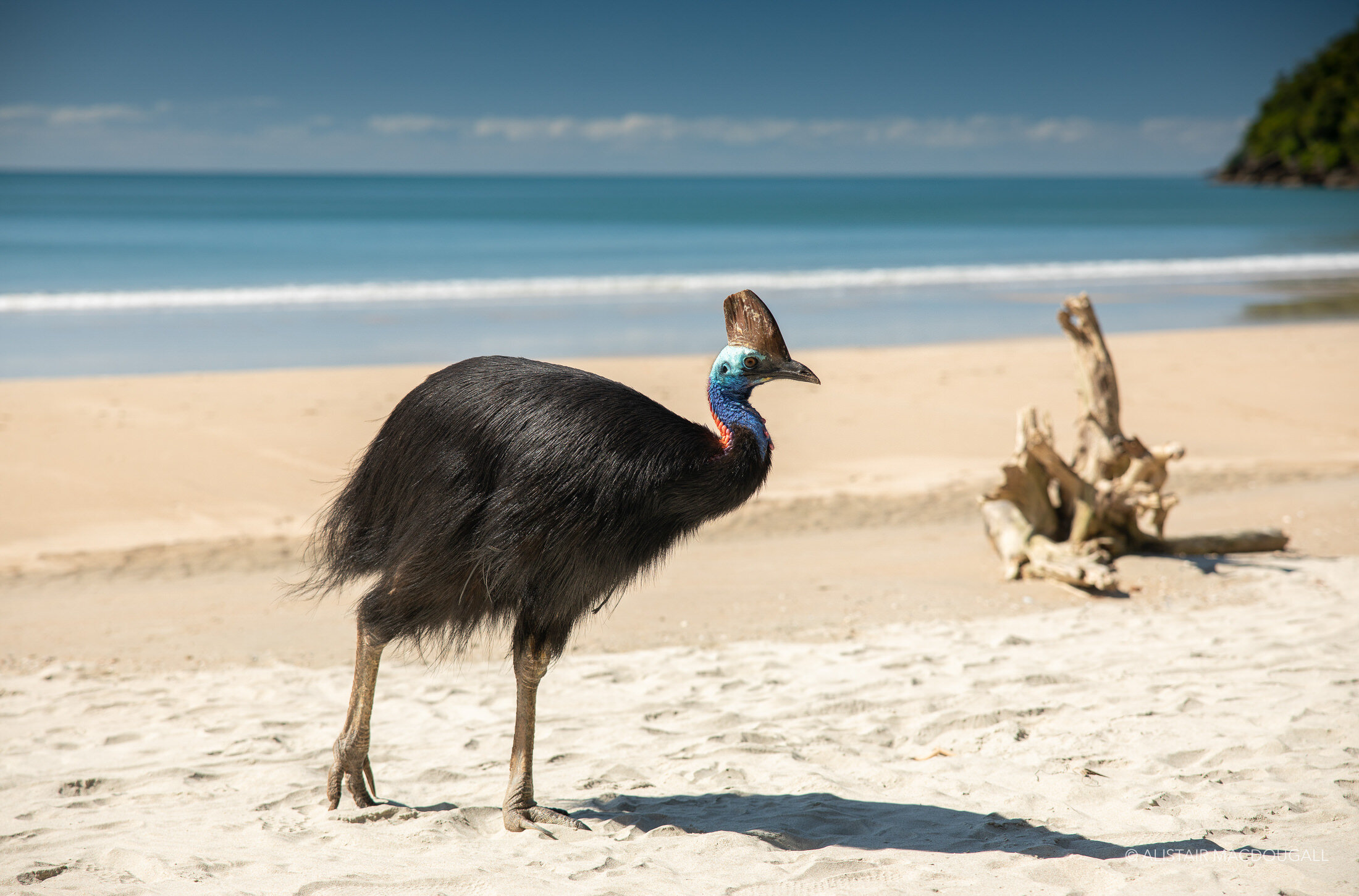 Daintree_LR-190.jpg