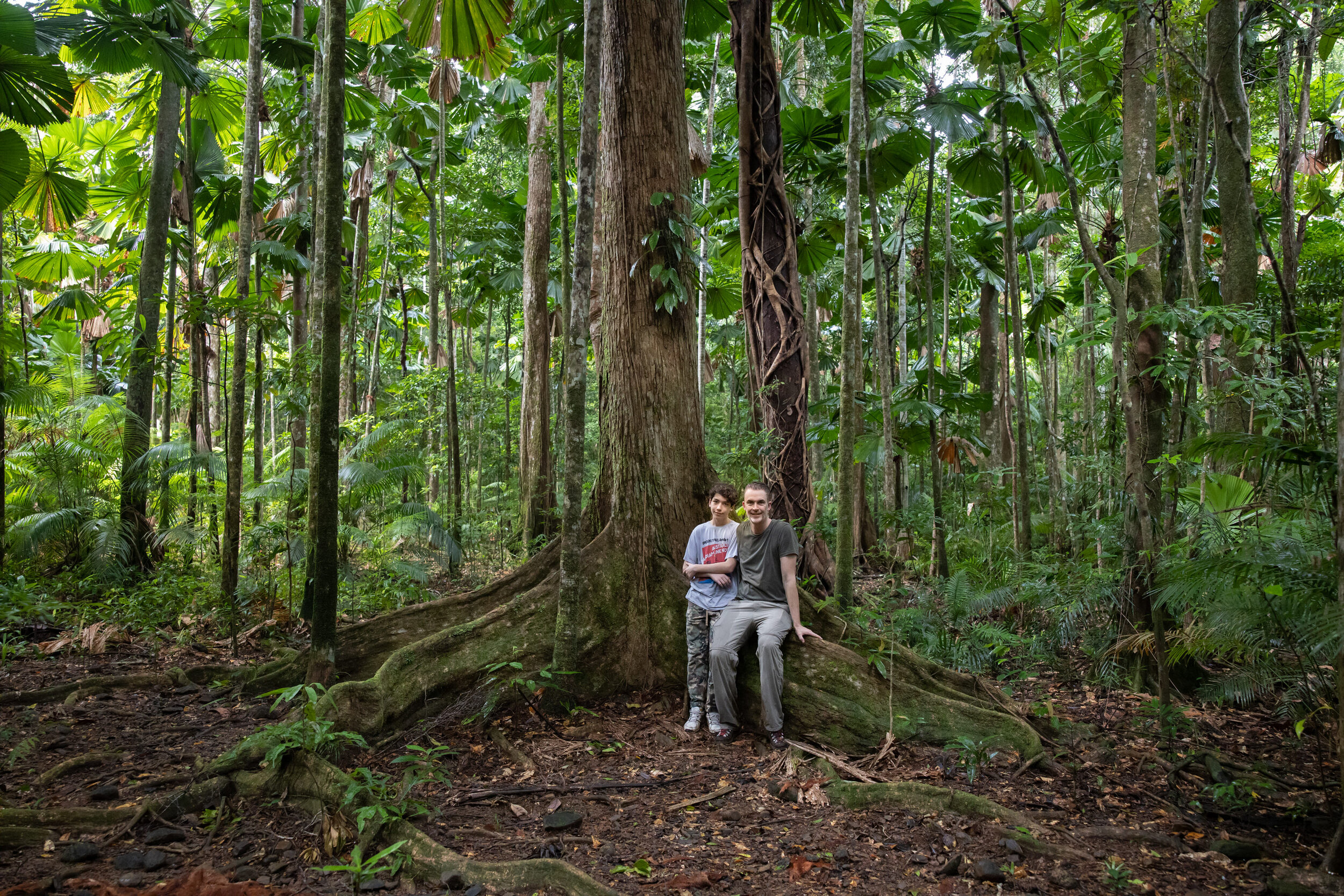 Daintree_202064.jpg