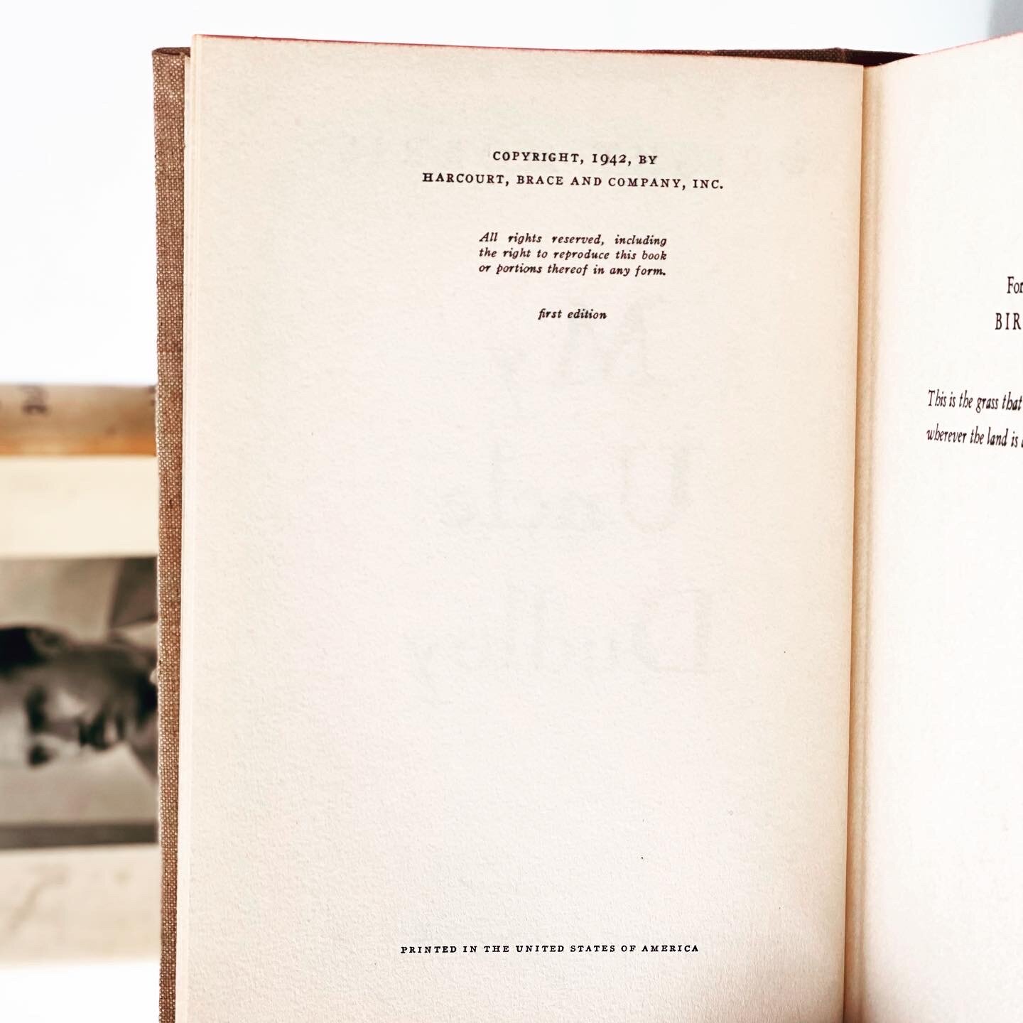 C9CB4CB7-DA82-48E7-8A73-6E90C5DD3C55