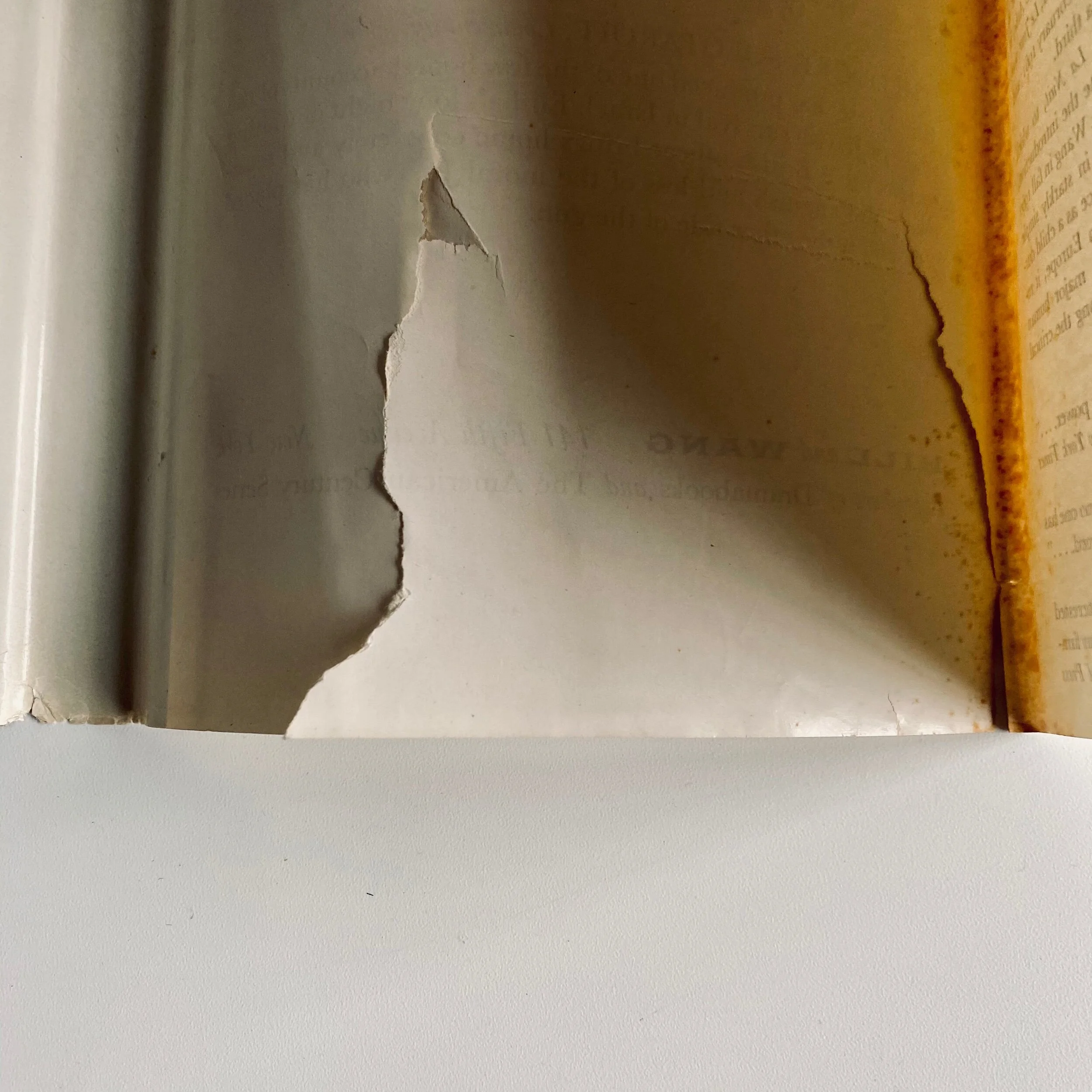 436D627F-C120-48DD-A857-AB202B1BC366