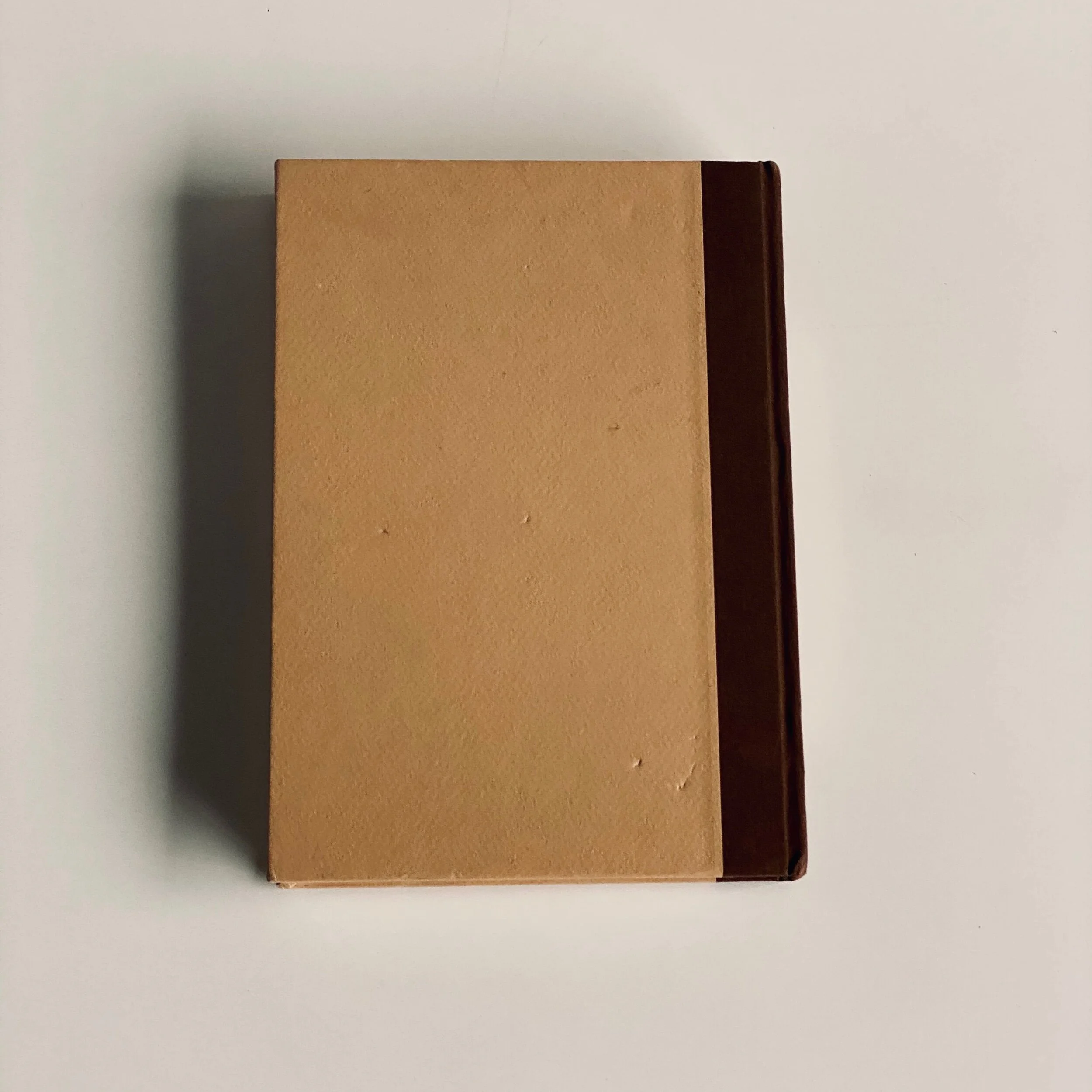 AF86BFF5-7022-4B1D-801A-55FD18BDF4E3