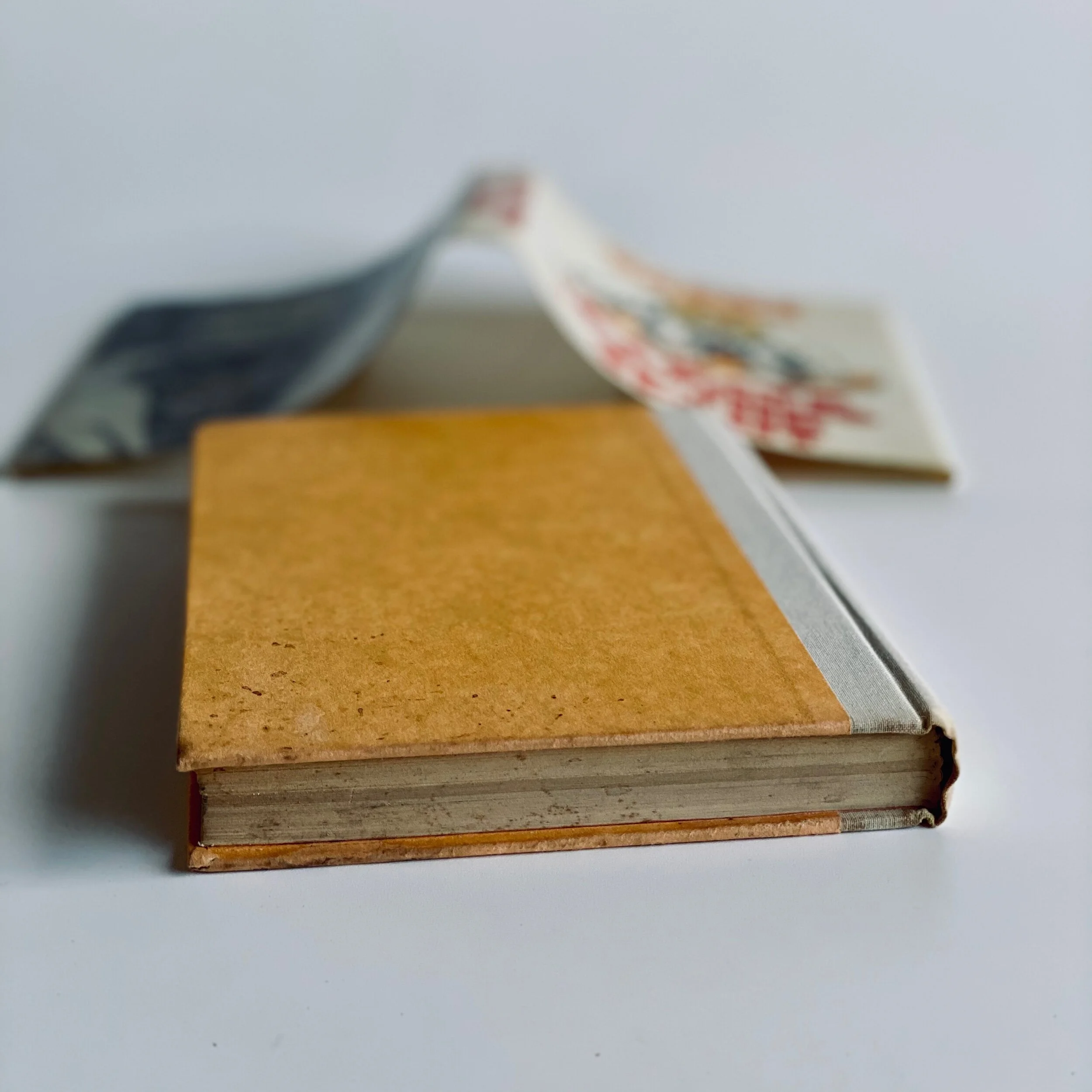 813D0823-2F5C-4195-BF33-6AEA2706F6F1