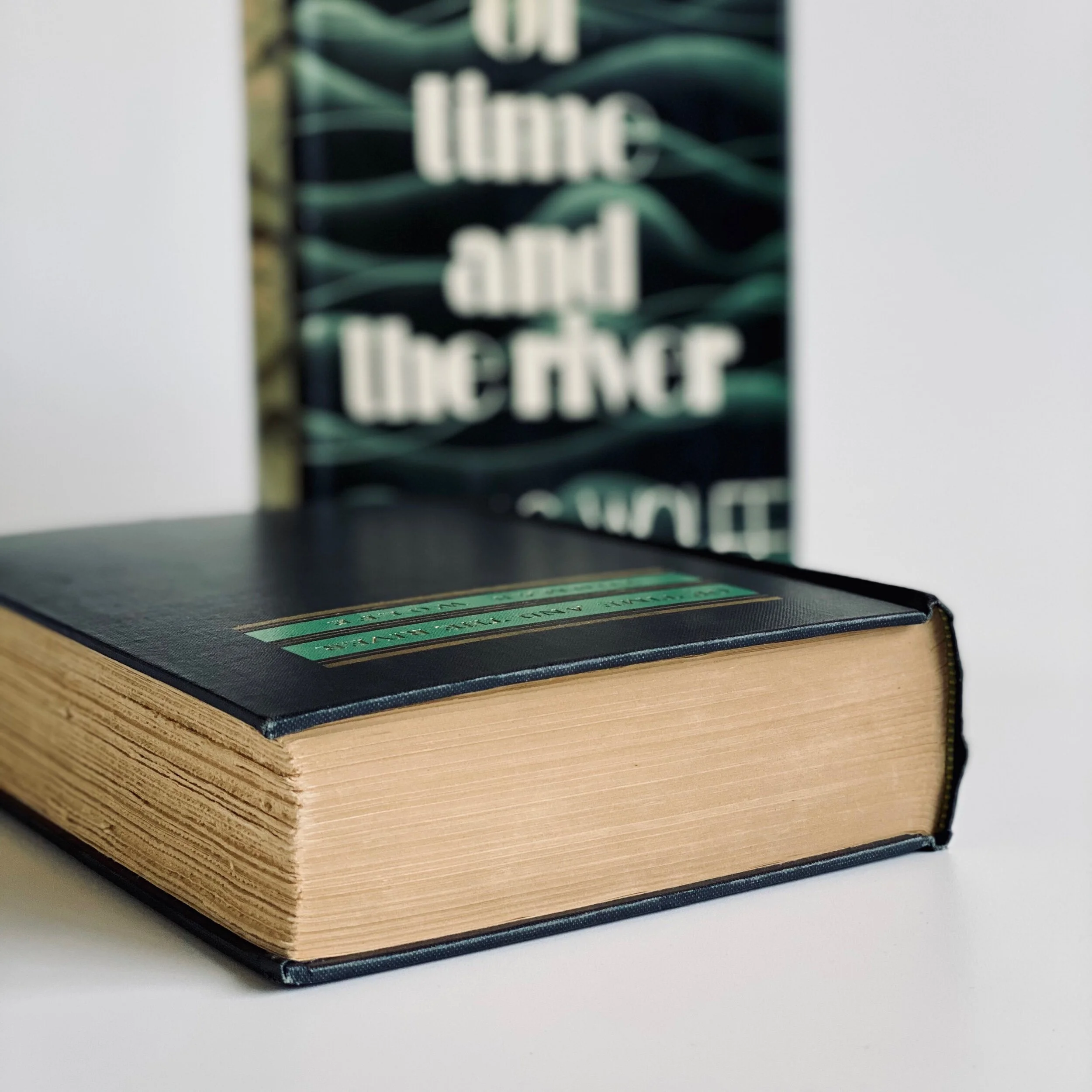 BC829AB6-4030-4881-8034-EEEB75D5D296