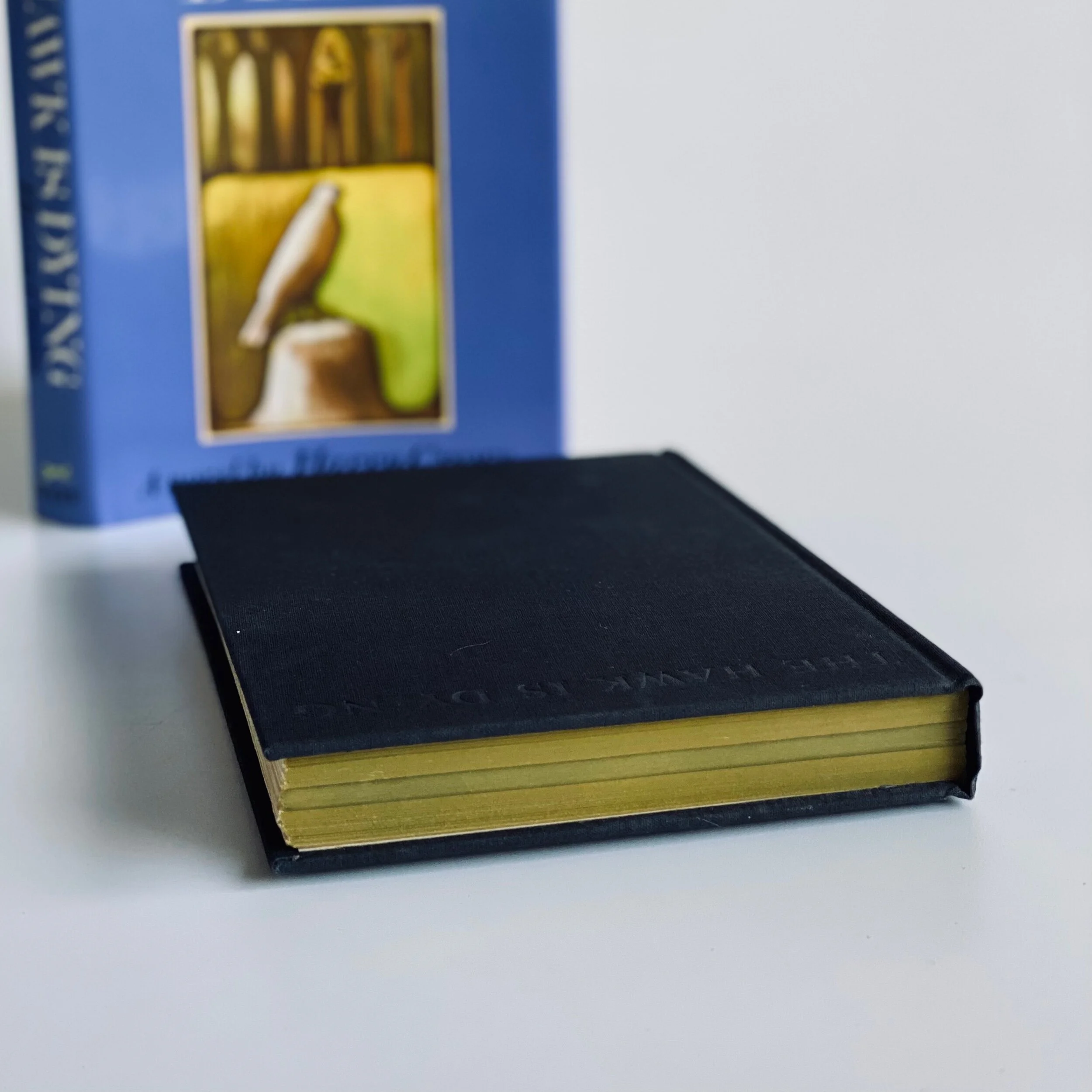 E06F748A-EE4D-41B8-AE85-780E1CC4719B