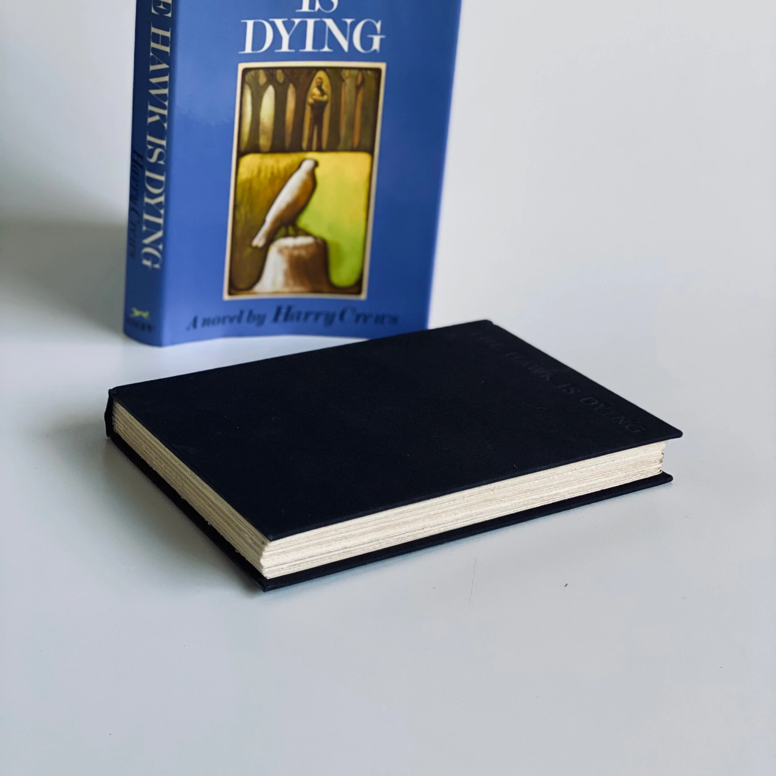 EAF6032D-AAD9-45EF-BF04-DF1CEAF5C371